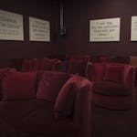 Redvers-Tower-Cinema-2-Gallery